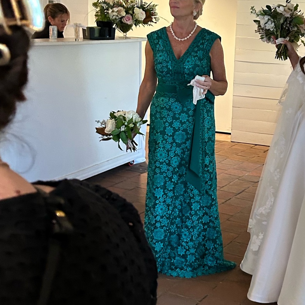 Todashi shoji two toned green lace gown